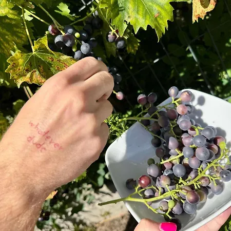 Ibis Katowice - Hotel 2*