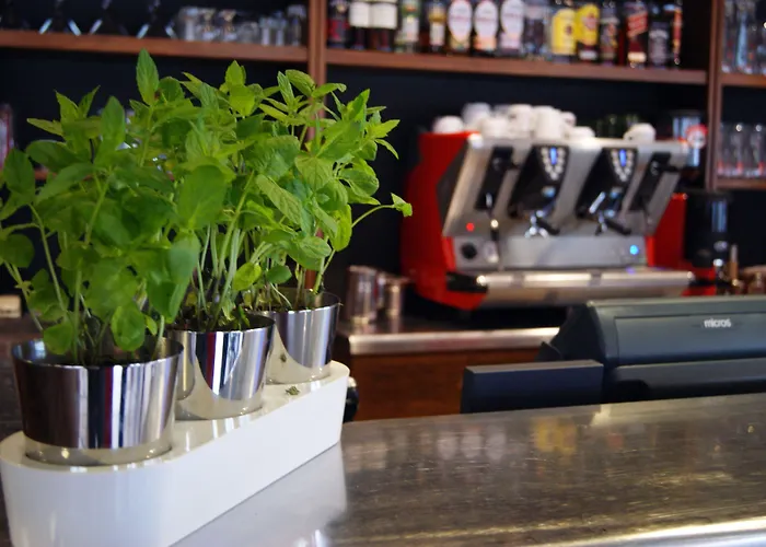 卡托维兹 - 扎布热宜必思酒店 酒店