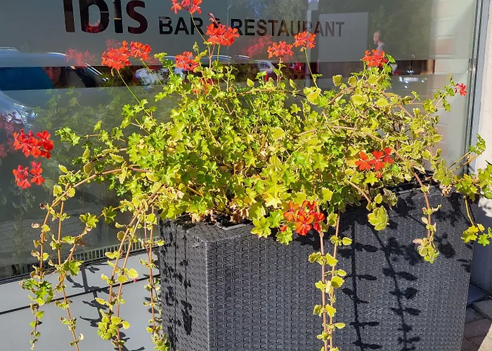 卡托维兹 - 扎布热宜必思酒店 酒店