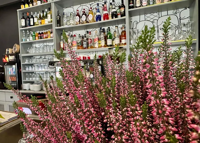 Ibis Katowice - Hotel Zabrze