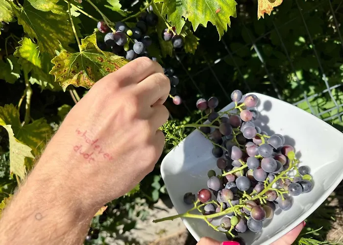 Ibis Katowice - Hotel 2*